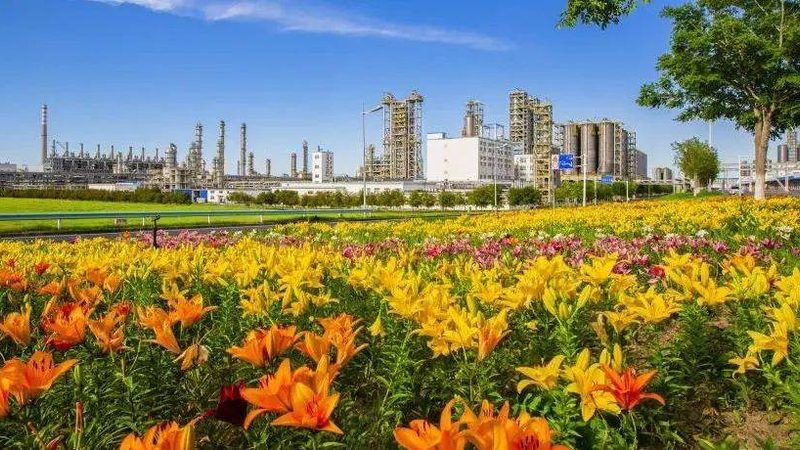 塑料原料价格行情走势图：揭秘市场波动背后的逻辑