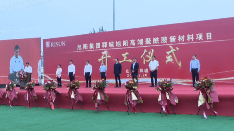 色母粒与色粉：性能对比与选择要点